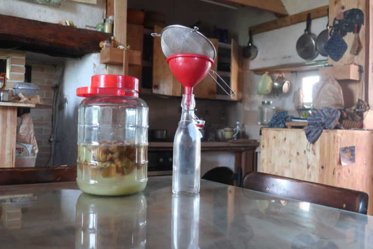 Transformer les épluchures de fruits en boissons pétillantes fermentées